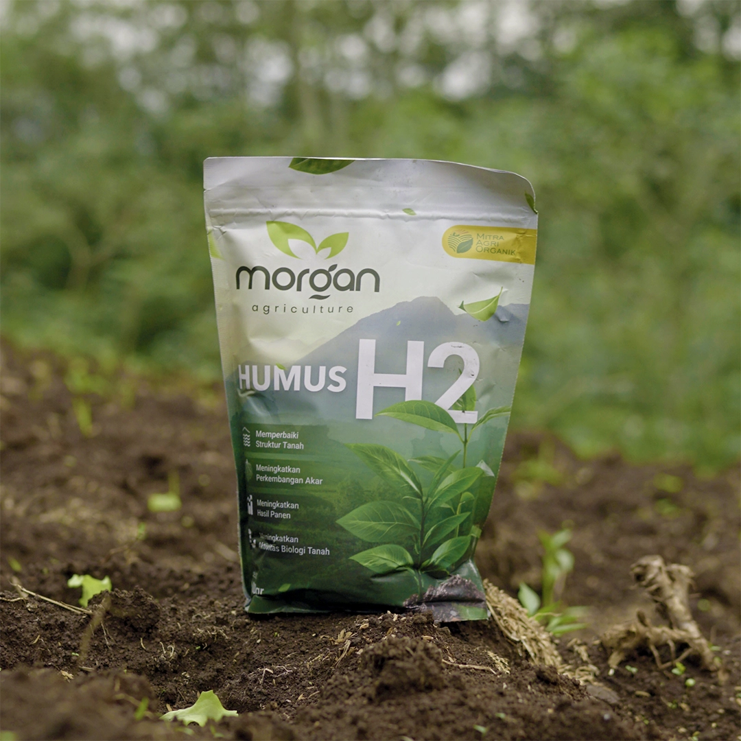 H2 - Humus Hayati (Morgan)